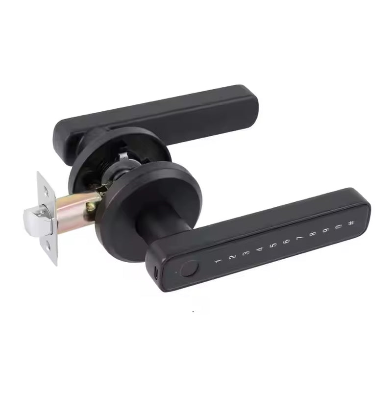 Hifocus APP Remote Control Digital Lock Door Security System Handle Electric Keyless Entry Smart Fingerprint Door Lock for Home